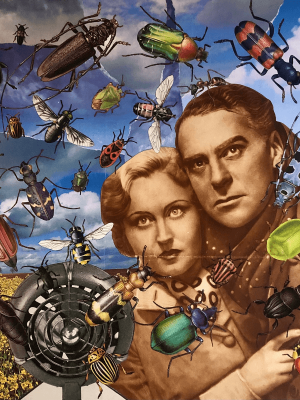 L'armada - L'art du collage- Marielle Hary, collagiste - Ateliers de collage dans les Vosges -Vente d'œuvres en collage