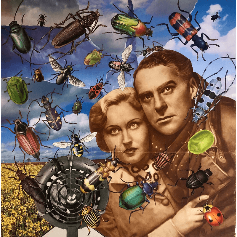 L'armada - L'art du collage- Marielle Hary, collagiste - Ateliers de collage dans les Vosges -Vente d'œuvres en collage